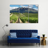 Vineyards landscape near Wellington, South Africa Multi panel canvas wall art