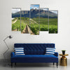 Vineyards landscape near Wellington, South Africa Multi panel canvas wall art