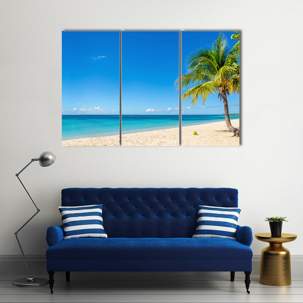 Amazing sandy beach with coconut palm tree and blue sky, Caribbean Islands multi panel canvas wall art
