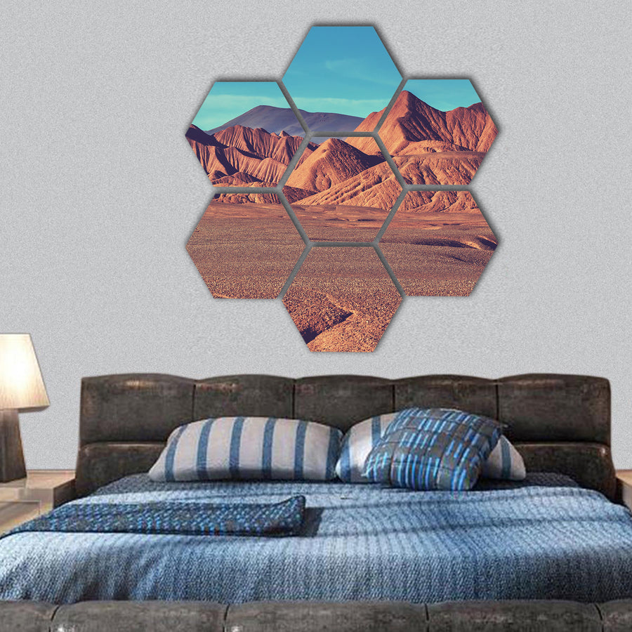 Mountain Plateau La Puna Northern Argentina hexagonal canvas wall art