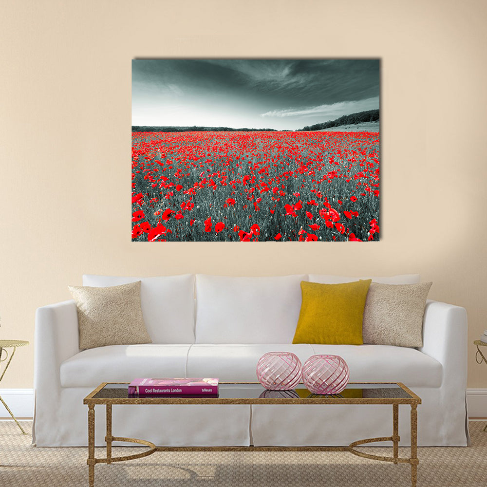 Black and white image of a meadow with red field poppies Multi Panel Canvas Wall Art