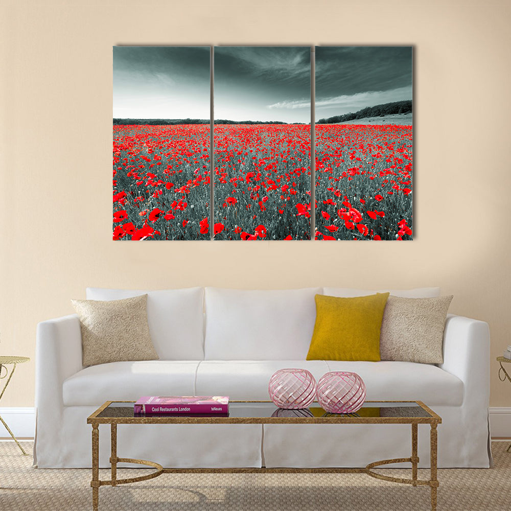Black and white image of a meadow with red field poppies Multi Panel Canvas Wall Art