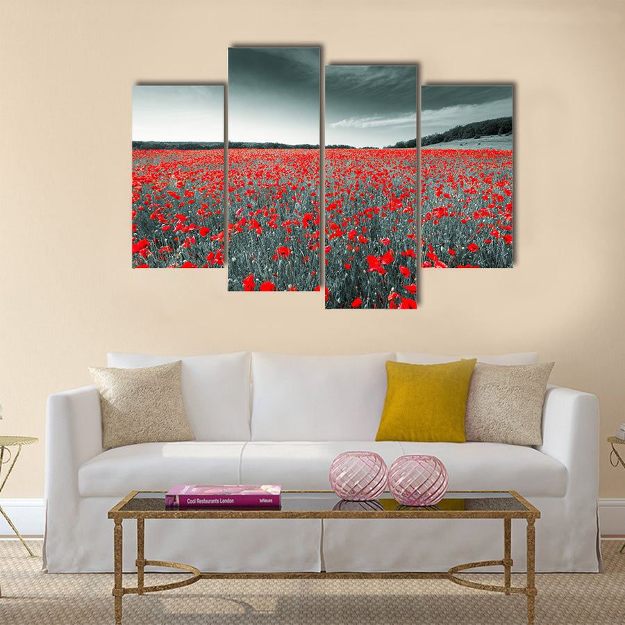Black and white image of a meadow with red field poppies Multi Panel Canvas Wall Art