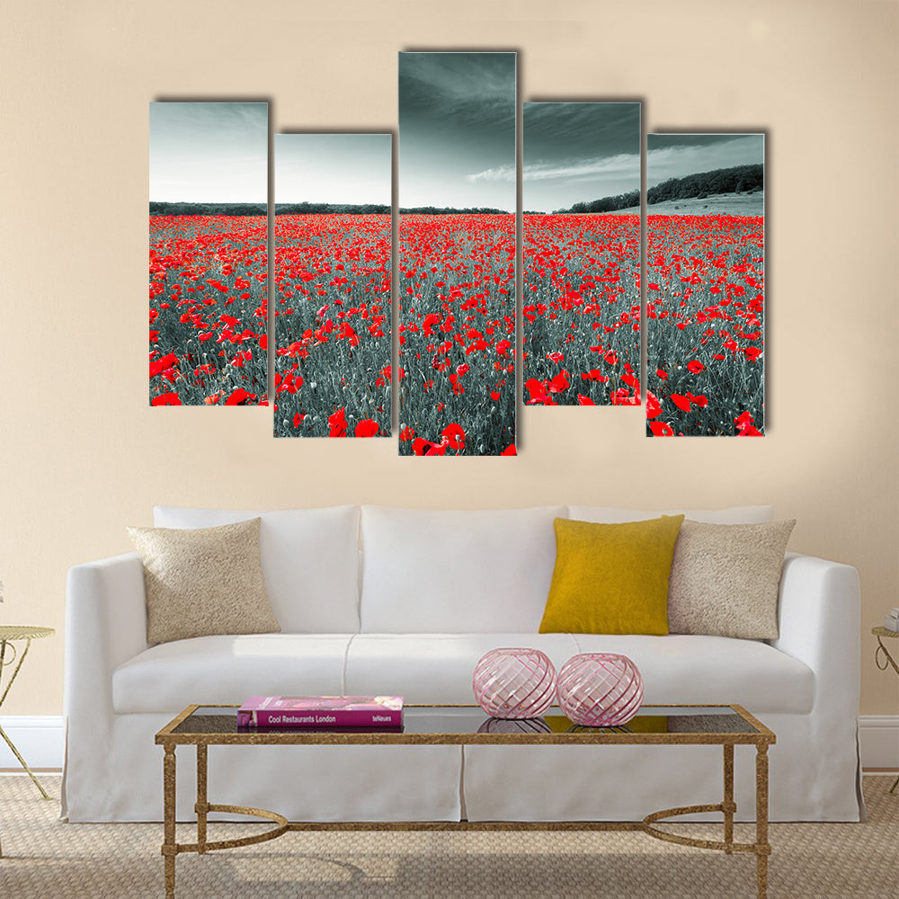 Black and white image of a meadow with red field poppies Multi Panel Canvas Wall Art