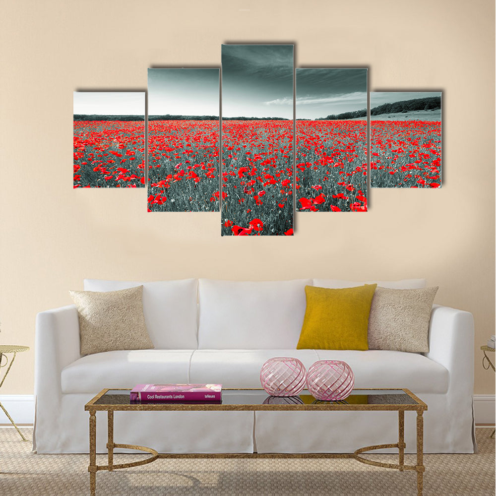 Black and white image of a meadow with red field poppies Multi Panel Canvas Wall Art
