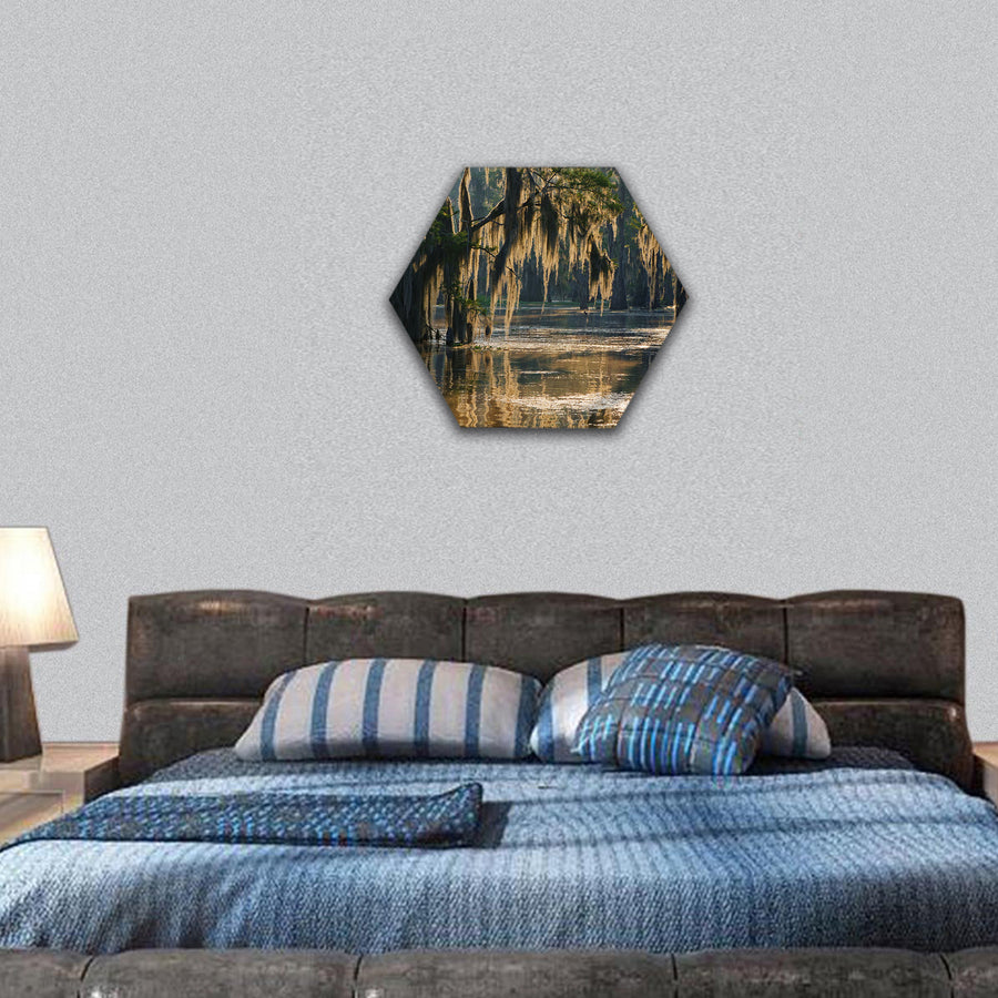 Spanish moss in the Louisiana Bayou hexagonal canvas wall art