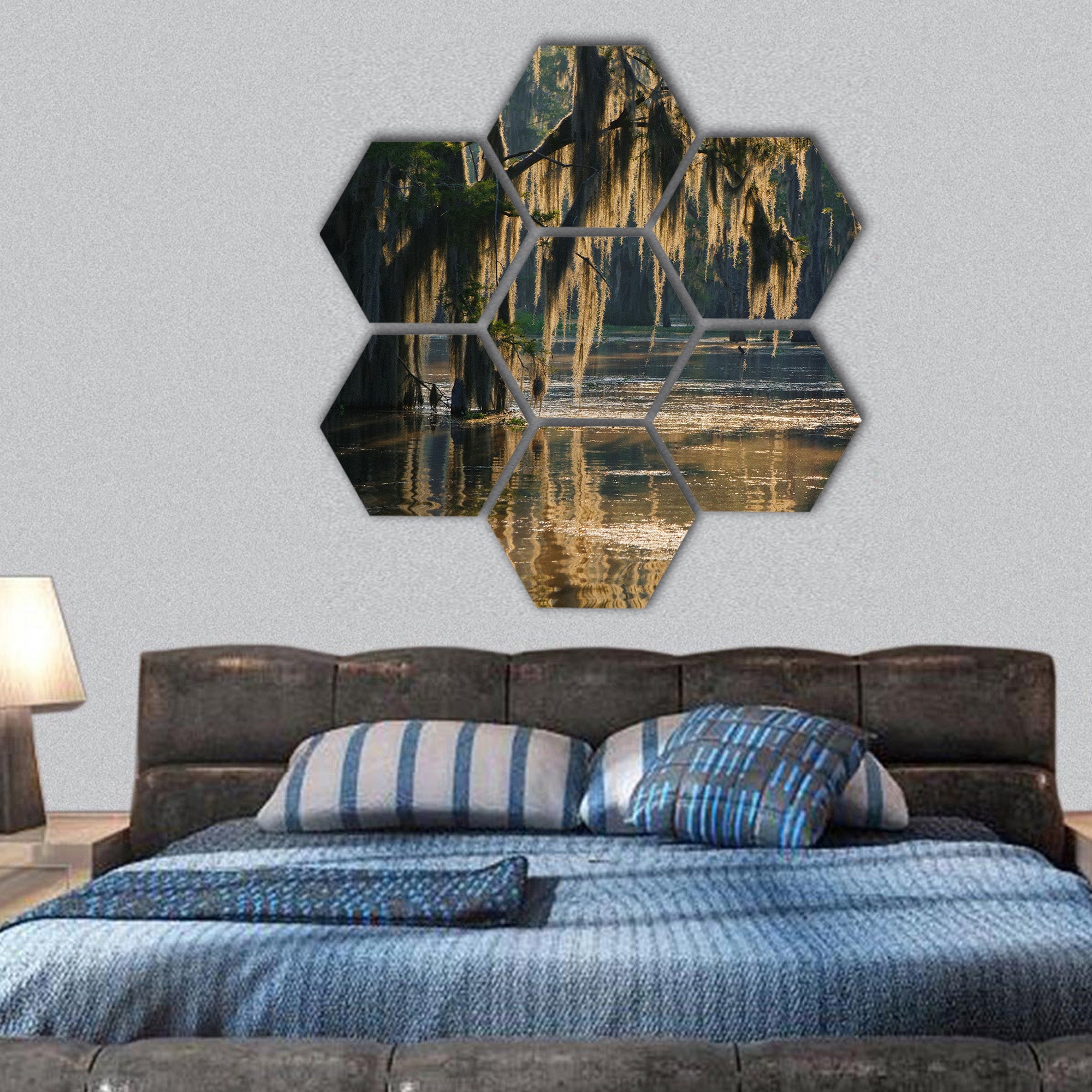 Spanish moss in the Louisiana Bayou hexagonal canvas wall art