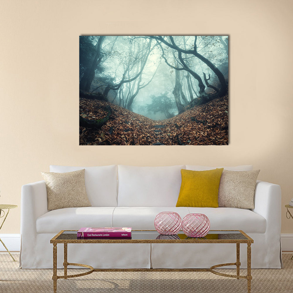 Trail through a mysterious dark old forest in fog.  multi panel canvas wall art