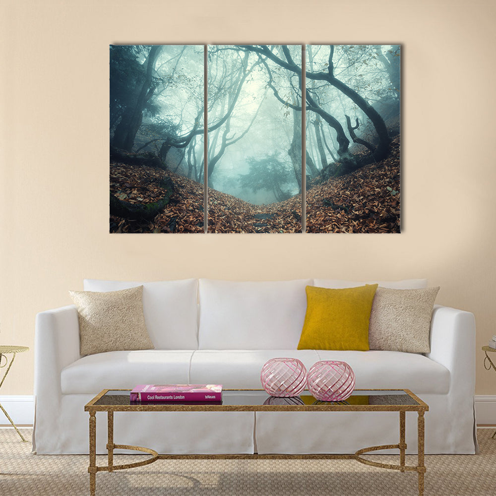 Trail through a mysterious dark old forest in fog.  multi panel canvas wall art