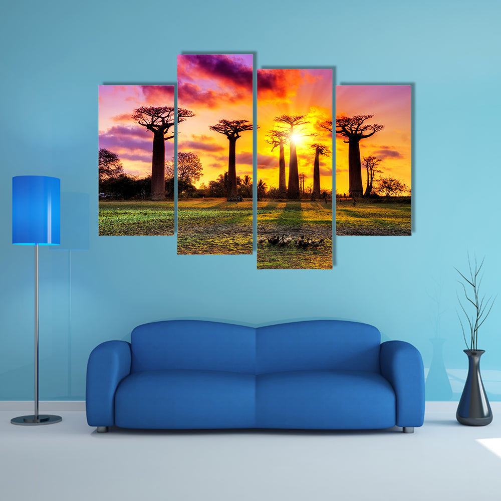 Beautiful Baobab trees at sunset at the avenue of the baobabs in Madagascar Multi Panel Canvas Wall Art