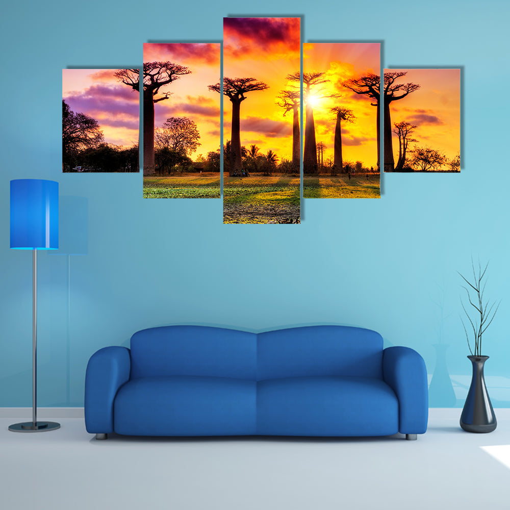 Beautiful Baobab trees at sunset at the avenue of the baobabs in Madagascar Multi Panel Canvas Wall Art