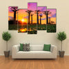 Beautiful Baobab Trees At Sunset In The Avenue Of The Baobabs In Madagascar, Multi Panel Canvas Wall Art