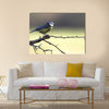 A Blue-Tit perched on a hawthorn branch on a winters day Multi panel canvas wall art