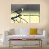 A Blue-Tit perched on a hawthorn branch on a winters day Multi panel canvas wall art