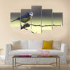 A Blue-Tit perched on a hawthorn branch on a winters day Multi panel canvas wall art