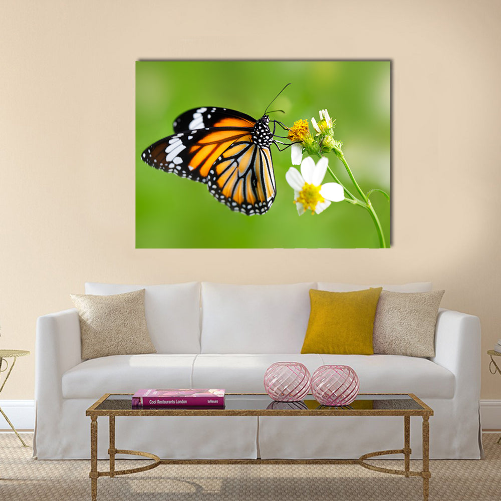 Closeup butterfly on flower (Common tiger butterfly) Multi Panel Canvas Wall Art