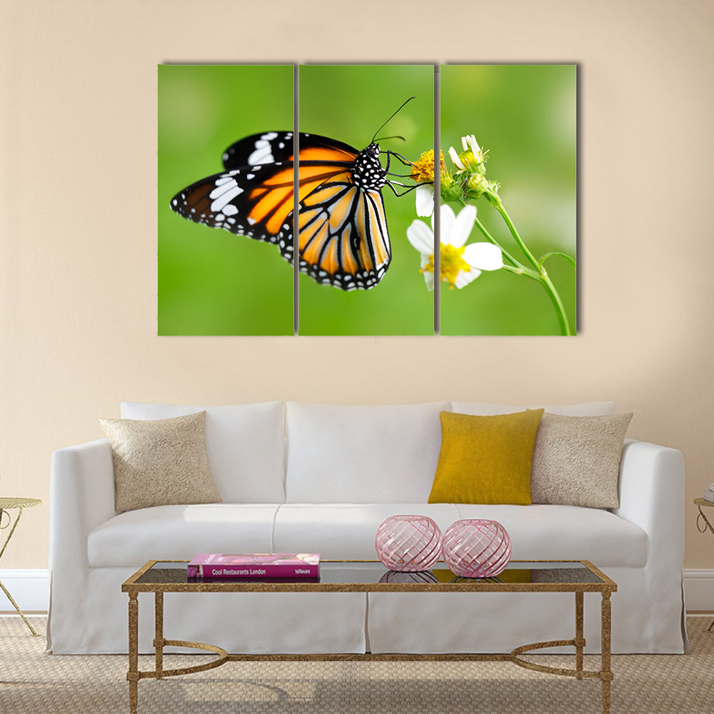 Closeup butterfly on flower (Common tiger butterfly) Multi Panel Canvas Wall Art