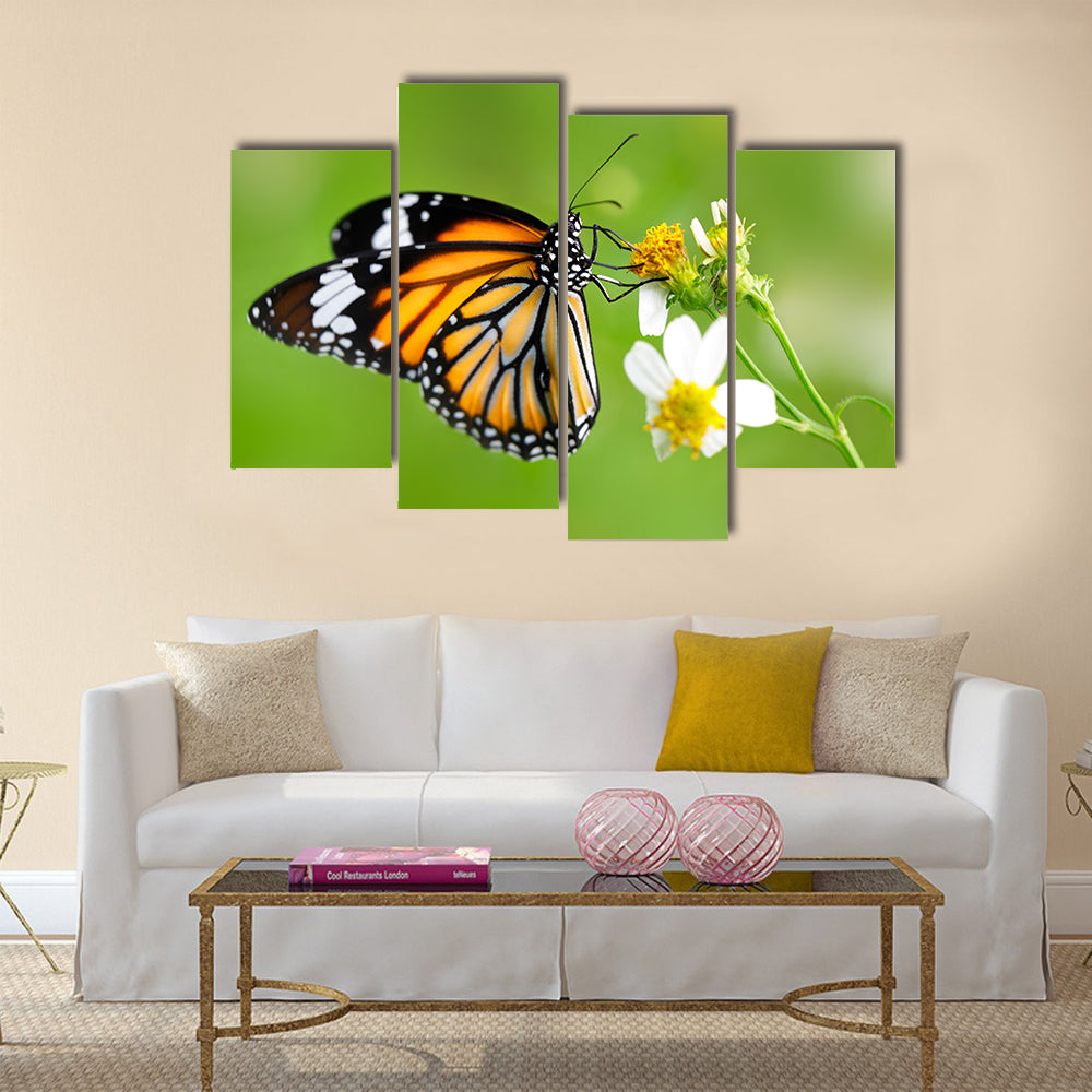 Closeup butterfly on flower (Common tiger butterfly) Multi Panel Canvas Wall Art