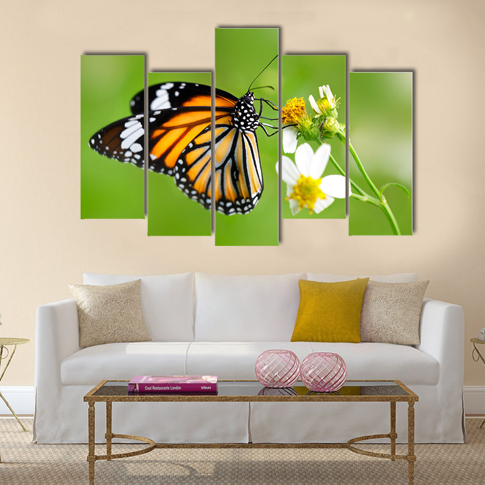 Closeup butterfly on flower (Common tiger butterfly) Multi Panel Canvas Wall Art