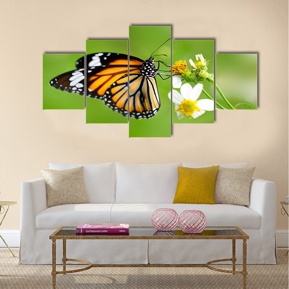 Closeup butterfly on flower (Common tiger butterfly) Multi Panel Canvas Wall Art