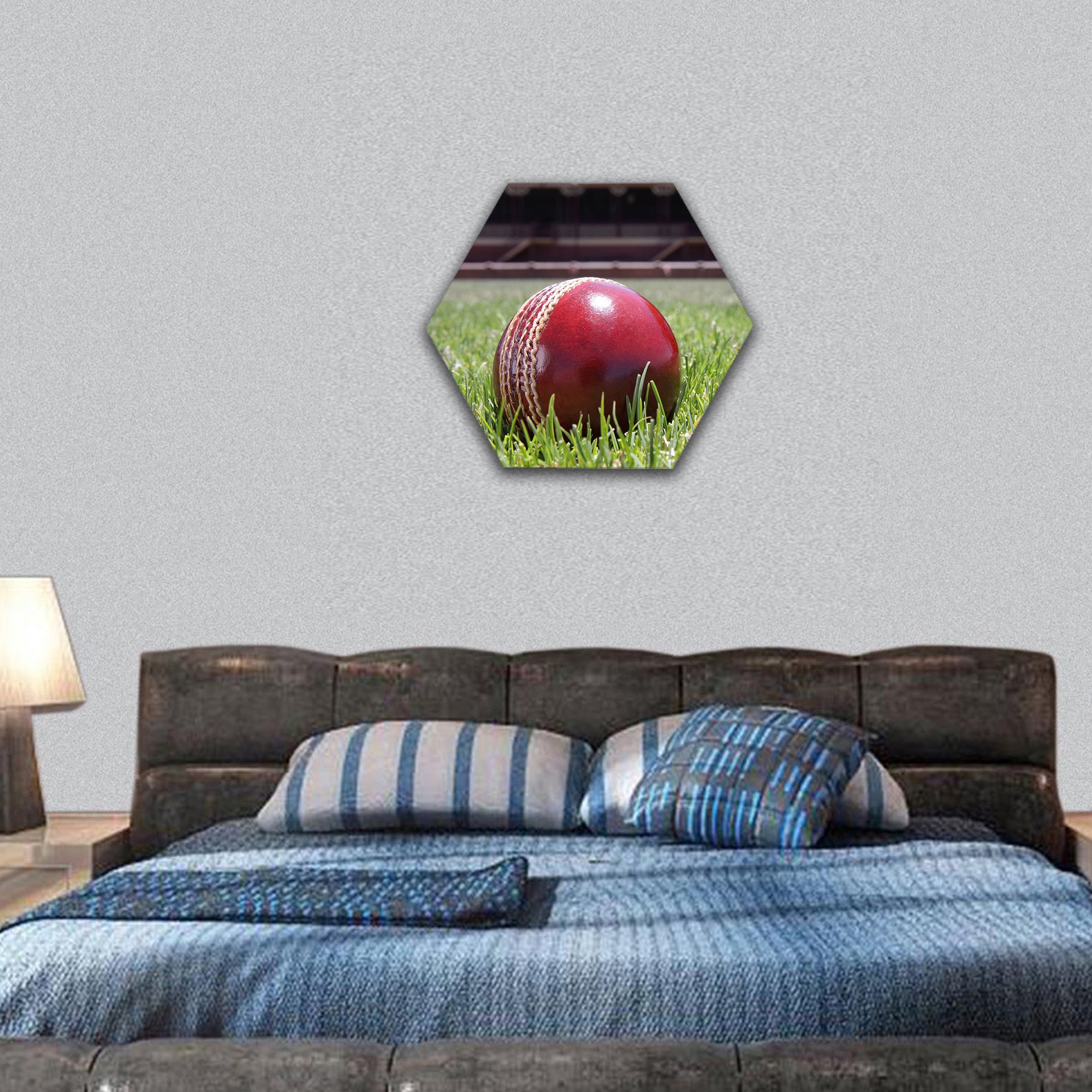 Shiny new cricket ball on grass hexagonal canvas wall art