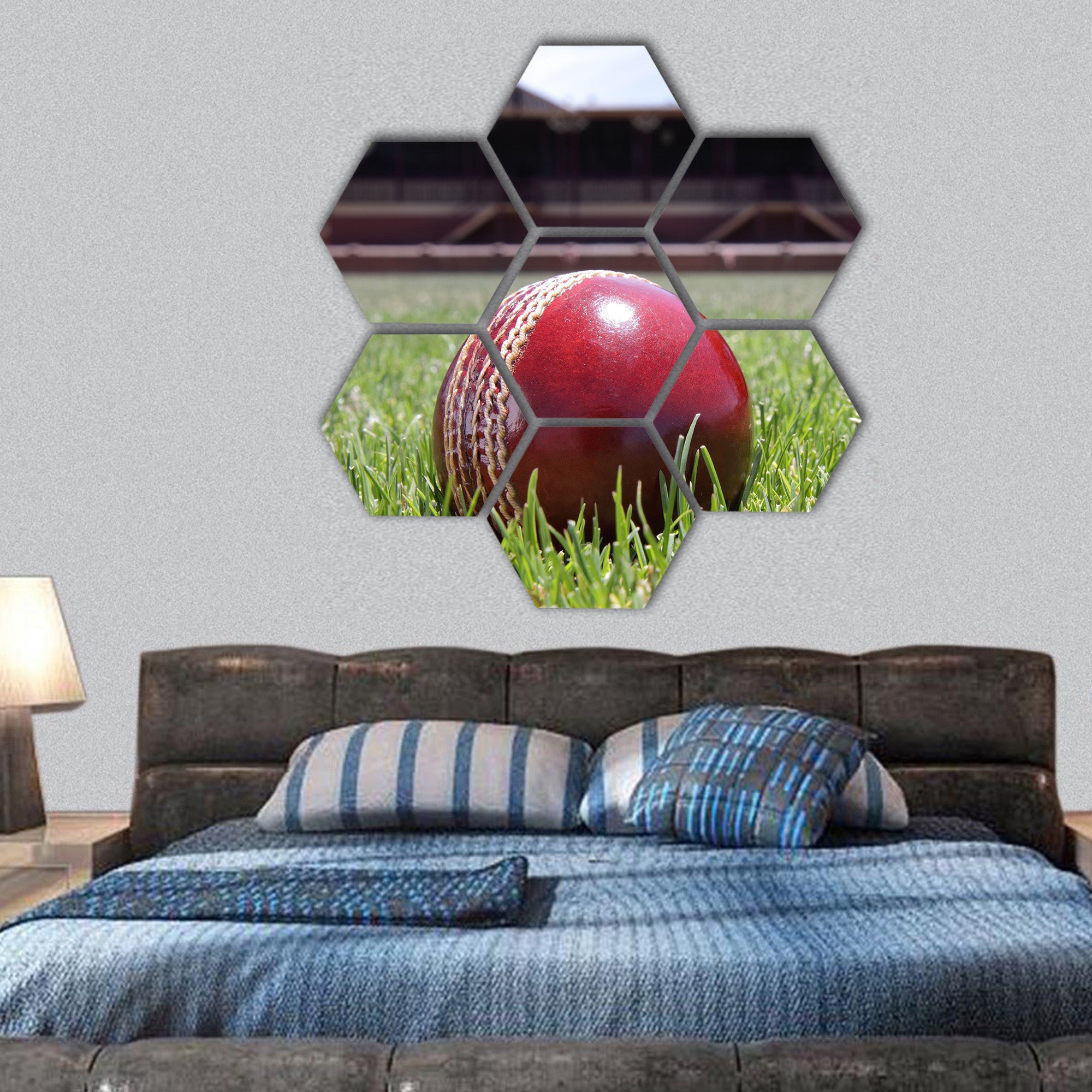 Shiny new cricket ball on grass hexagonal canvas wall art