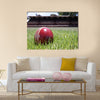 Shiny new cricket ball on grass in front of grand stand Multi panel canvas Wall art