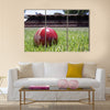 Shiny new cricket ball on grass in front of grand stand Multi panel canvas Wall art