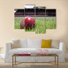 Shiny new cricket ball on grass in front of grand stand Multi panel canvas Wall art