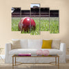 Shiny new cricket ball on grass in front of grand stand Multi panel canvas Wall art