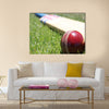 New cricket ball and bat on green grass Multi panel canvas Wall art