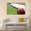 New cricket ball and bat on green grass Multi panel canvas Wall art