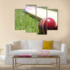 New cricket ball and bat on green grass Multi panel canvas Wall art