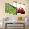 New cricket ball and bat on green grass Multi panel canvas Wall art