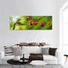 Humming bird panoramic canvas wall art