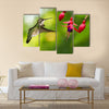 Hummingbird (archilochus colubris) in flight with tropical flower Multi panel canvas wall art