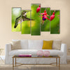 Hummingbird (archilochus colubris) in flight with tropical flower Multi panel canvas wall art