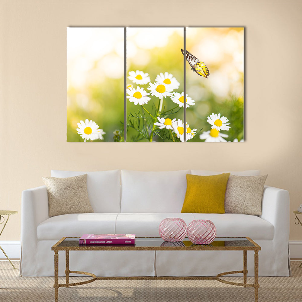 Butterfly on white daisy flowers Multi Panel Canvas Wall Art