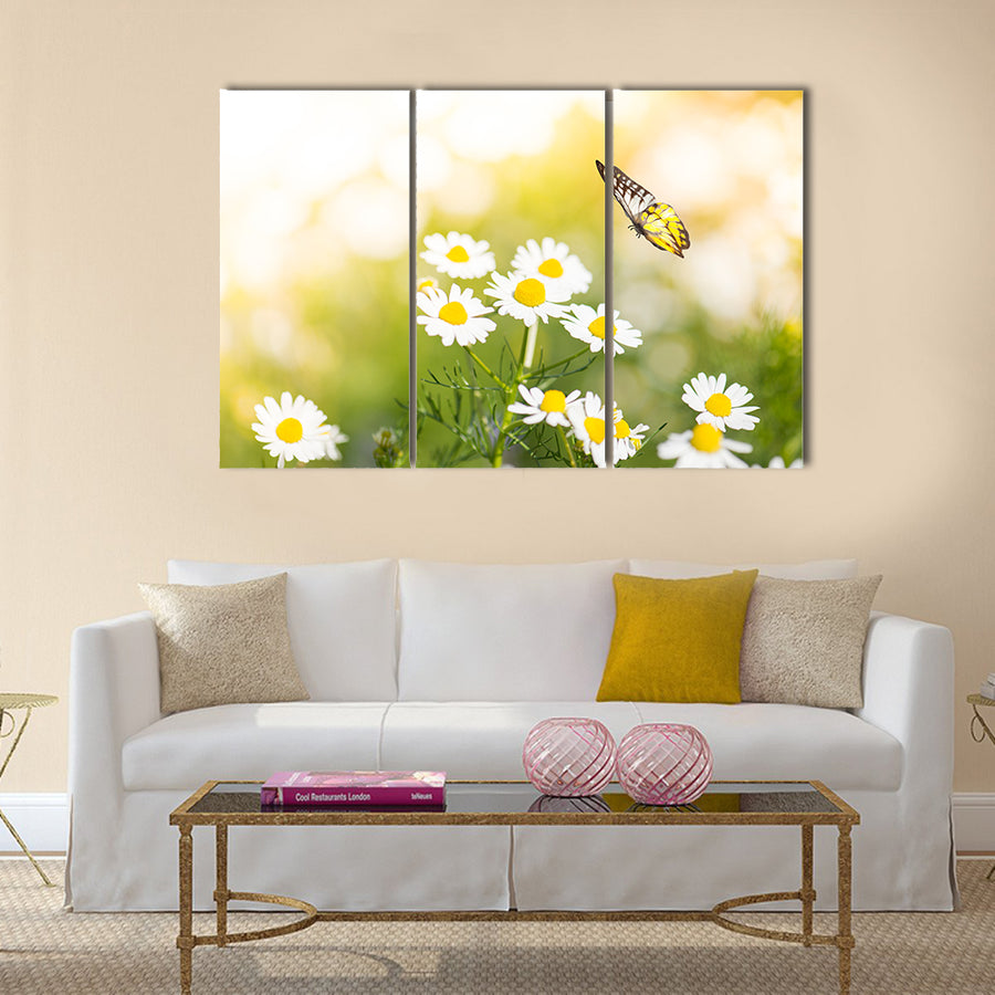Butterfly on white daisy flowers Multi Panel Canvas Wall Art