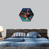 Common octopus hexagonal canvas wall art