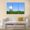 Golf, Grass, Golf Ball Multi Panel Canvas Wall Art