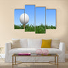 Golf, Grass, Golf Ball Multi Panel Canvas Wall Art