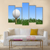 Golf, Grass, Golf Ball Multi Panel Canvas Wall Art