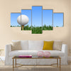 Golf, Grass, Golf Ball Multi Panel Canvas Wall Art