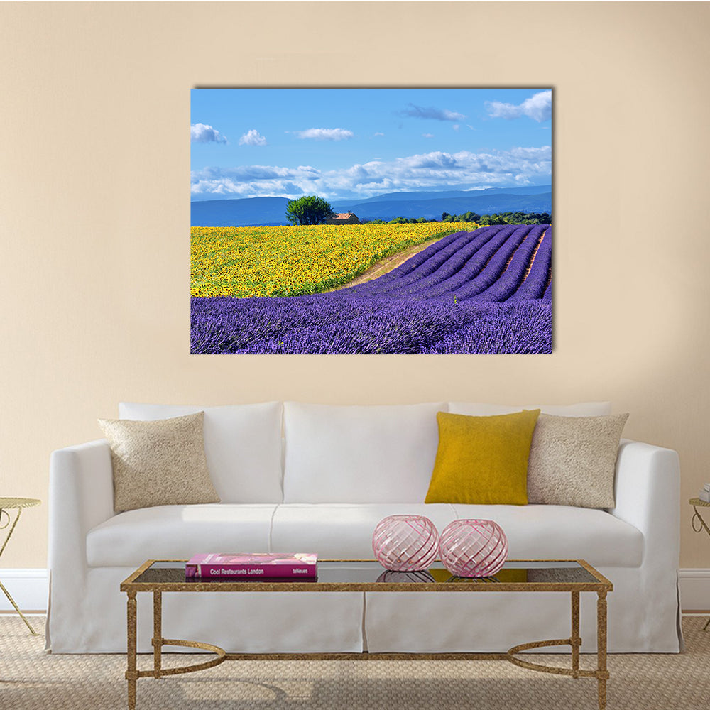 Stunning rural landscape with lavender field multi panel canvas wall art