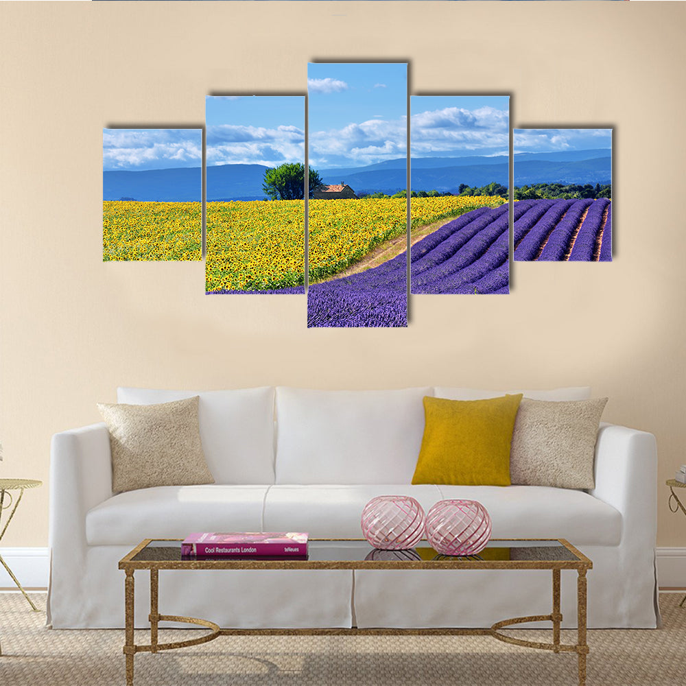 Stunning rural landscape with lavender field multi panel canvas wall art