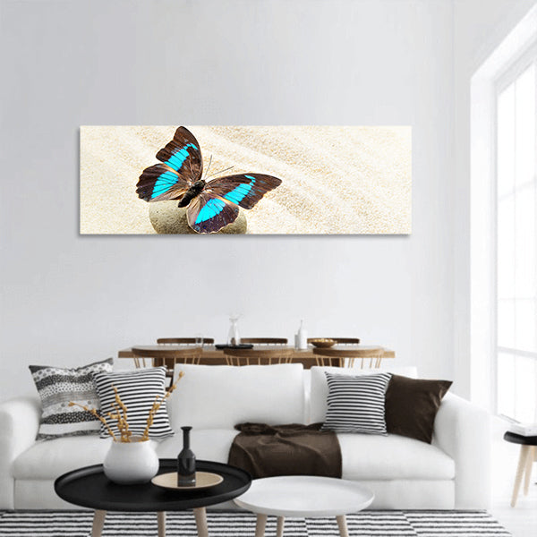 Butterfly Prepona Laerte on the sand panoramic canvas wall art