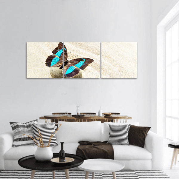 Butterfly Prepona Laerte on the sand panoramic canvas wall art