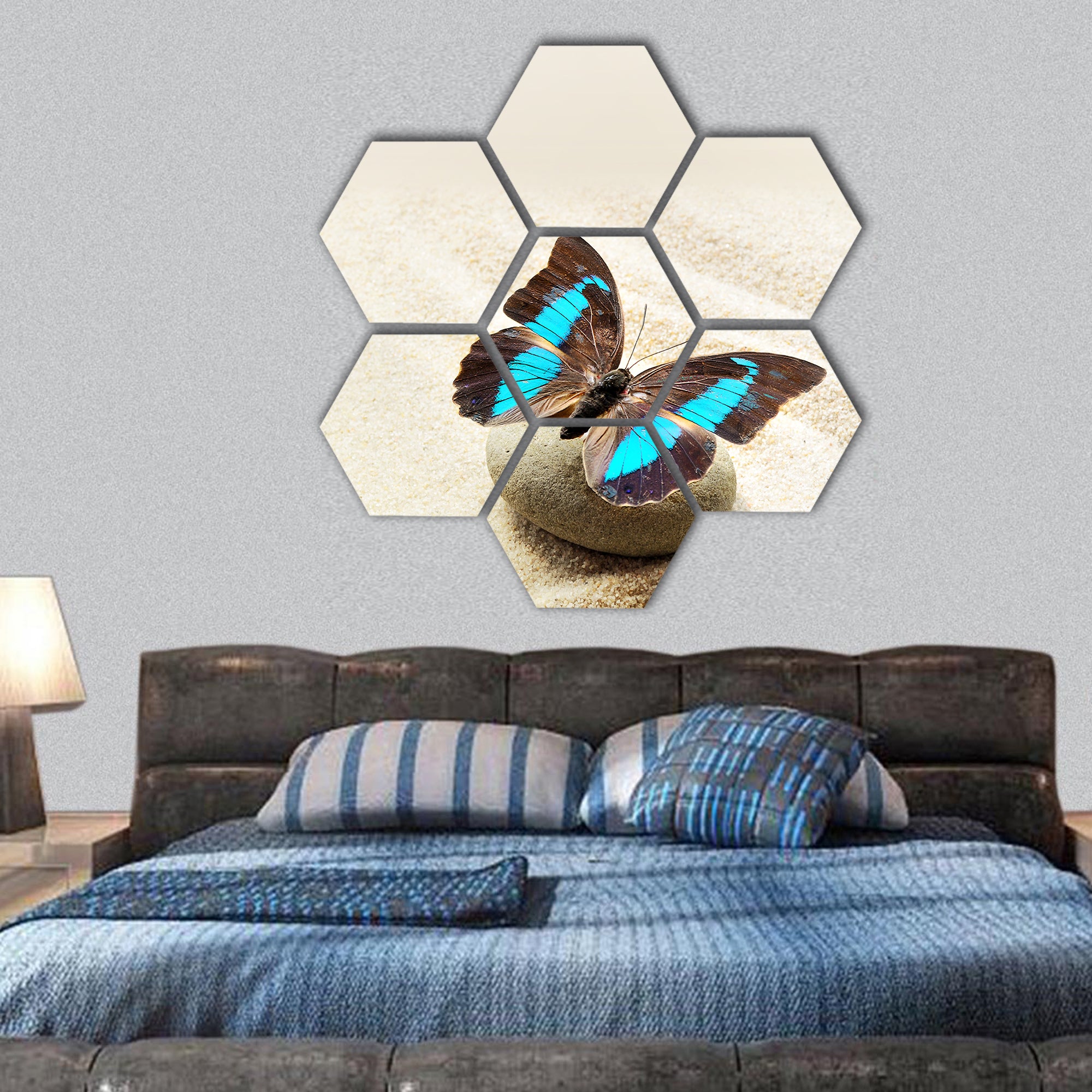Butterfly Prepona Laerte on the sand hexagonal canvas wall art