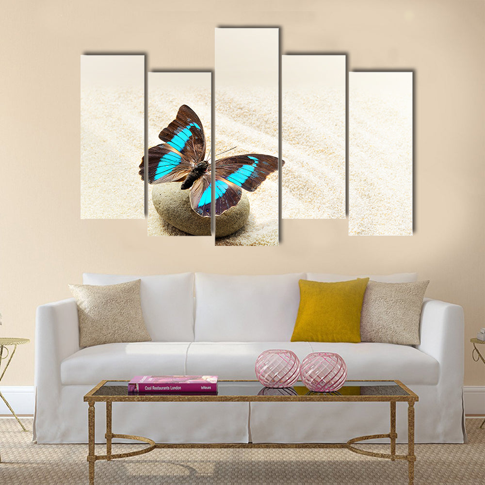 Butterfly Prepona Laerte on the sand Multi Panel Canvas Wall Art